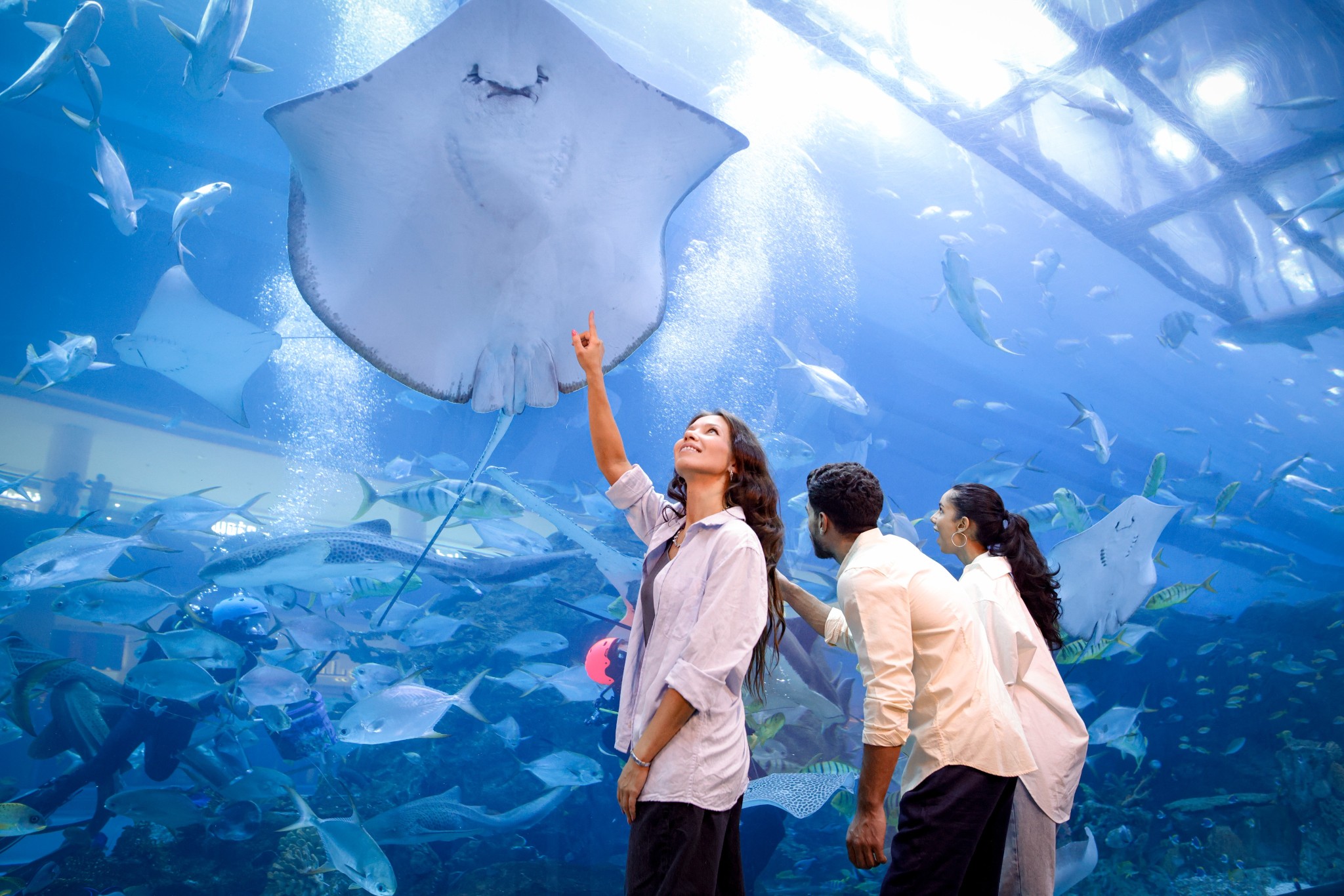 Dubai Aquarium & Underwater Zoo